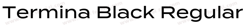 Termina Black Regular字体转换
